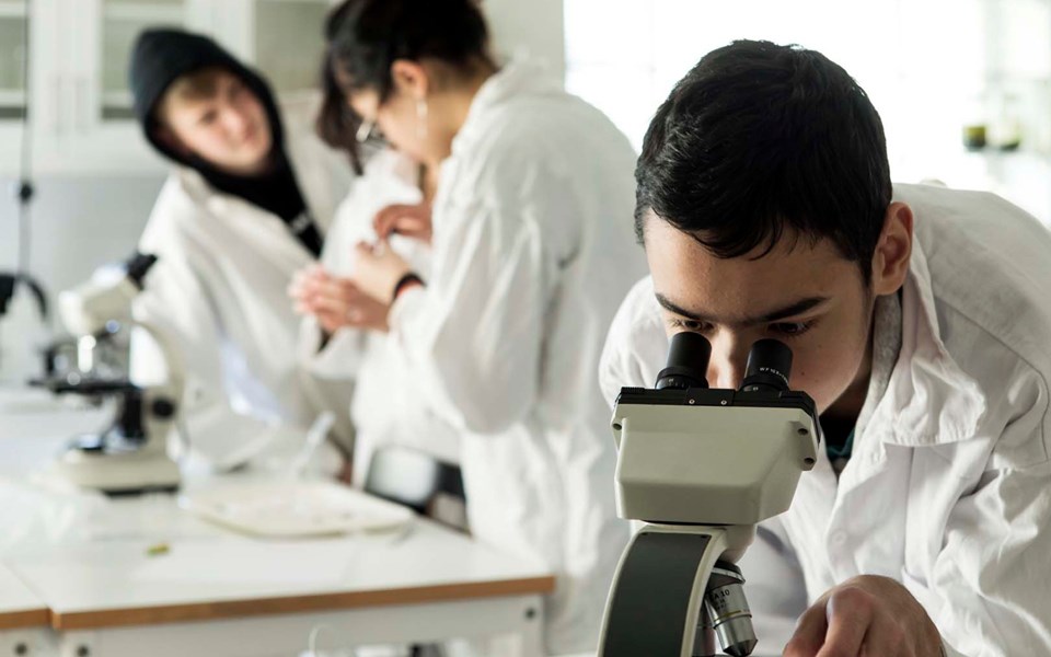 Elever i laborationssal tittar i mikroskop.